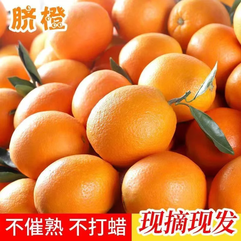 香甜奉节脐橙纽荷尔农家现摘新鲜发货鲜甜橙子荷尔脐橙非赣南皮薄
