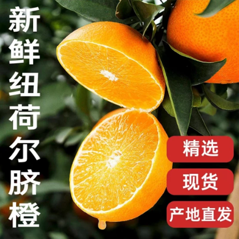 纽荷尔正宗奉节脐橙产地采摘农家皮薄新鲜水果鲜甜橙子非赣南香甜