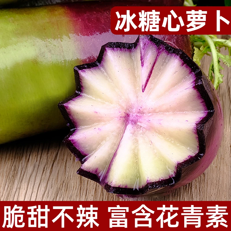 山东冰糖心冰激凌水果萝卜5斤即食甜脆冰淇淋罗卜潍坊新鲜