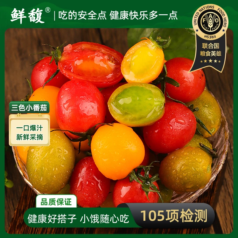 鲜馥三色小番茄夏日阳光青口蜜香甜可口3斤/5斤【交个朋友专属】
