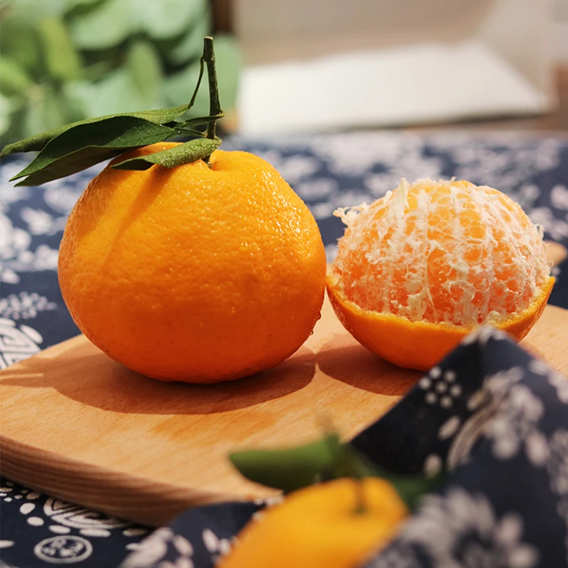 鲜馥四川春见耙耙柑肉嫩爆汁4.5斤酸甜爽口现摘现发