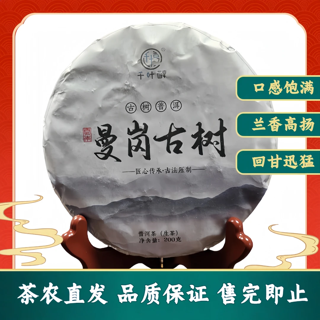 千叶醇2024年曼岗古树春茶