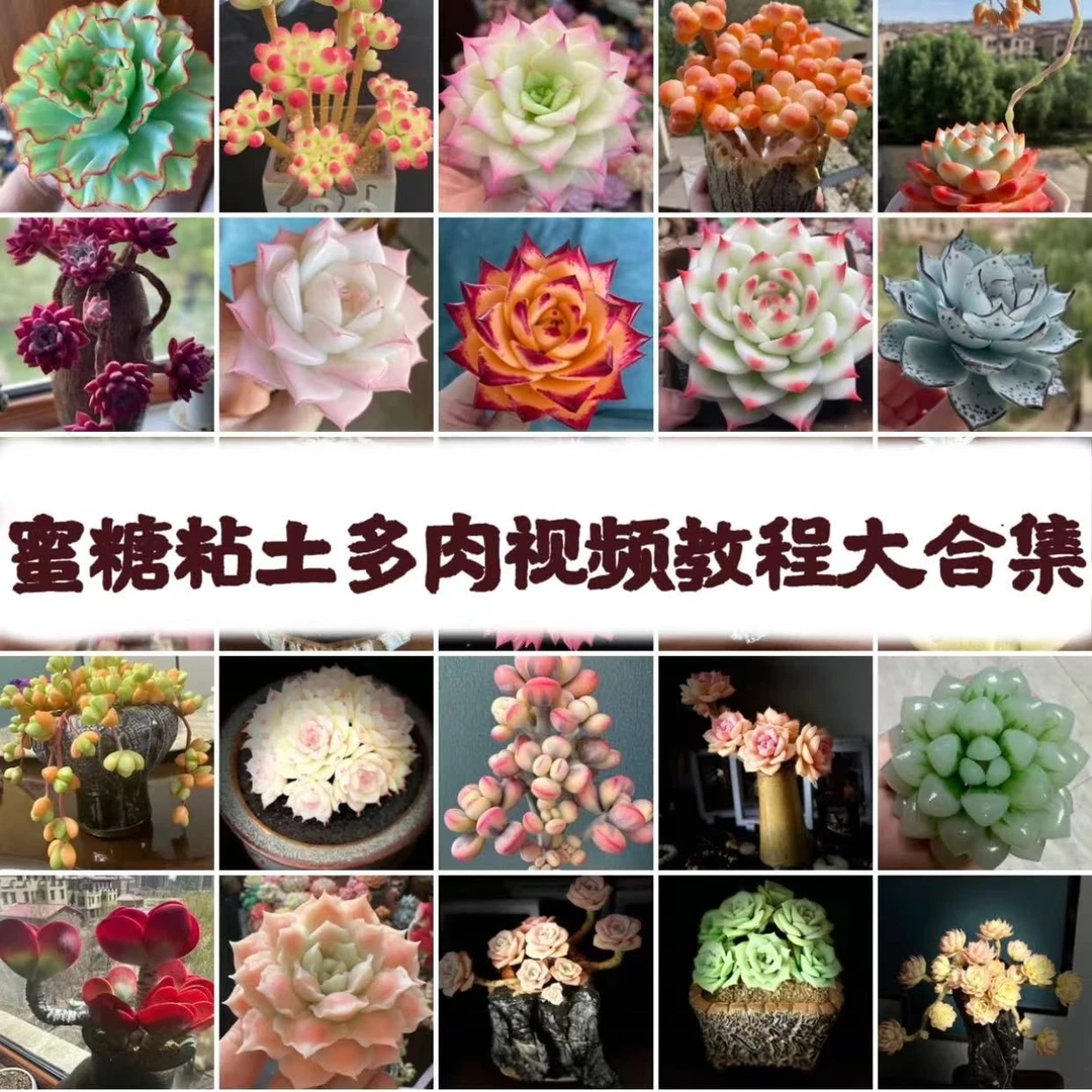 蜜糖粘土多肉 手工粘土多肉视频教程大合集 持续更新