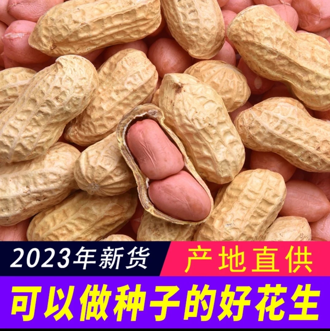 5斤3斤河南正阳小白沙花生罗汉果带壳晒干花生2023年新货可当种子