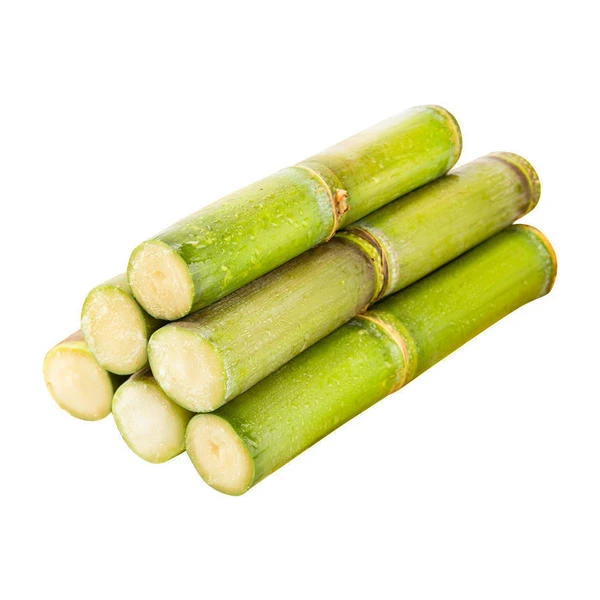 青皮甘蔗（一根装）