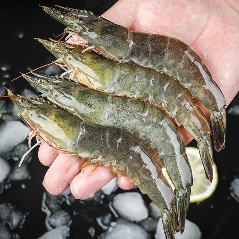 【海虾】大个头海虾活体单冻 2030规格 净重3.3斤/盒 到手约38-48只