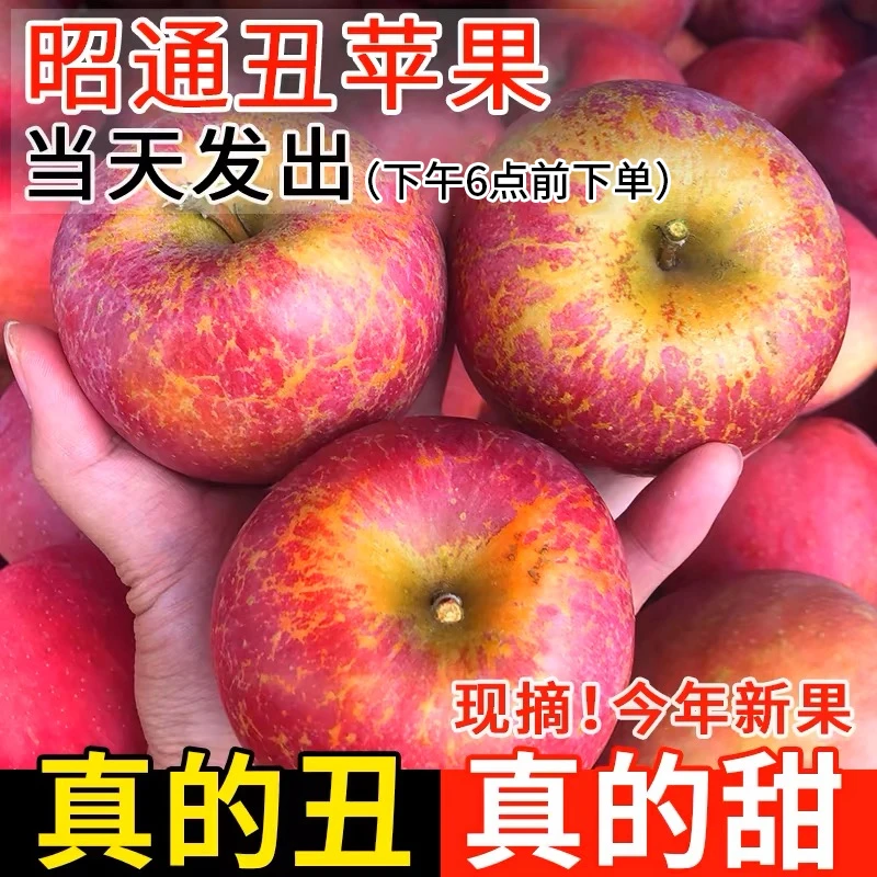 正宗云南昭通冰糖心丑苹果新鲜大凉山脆甜水果产地直发新鲜现摘