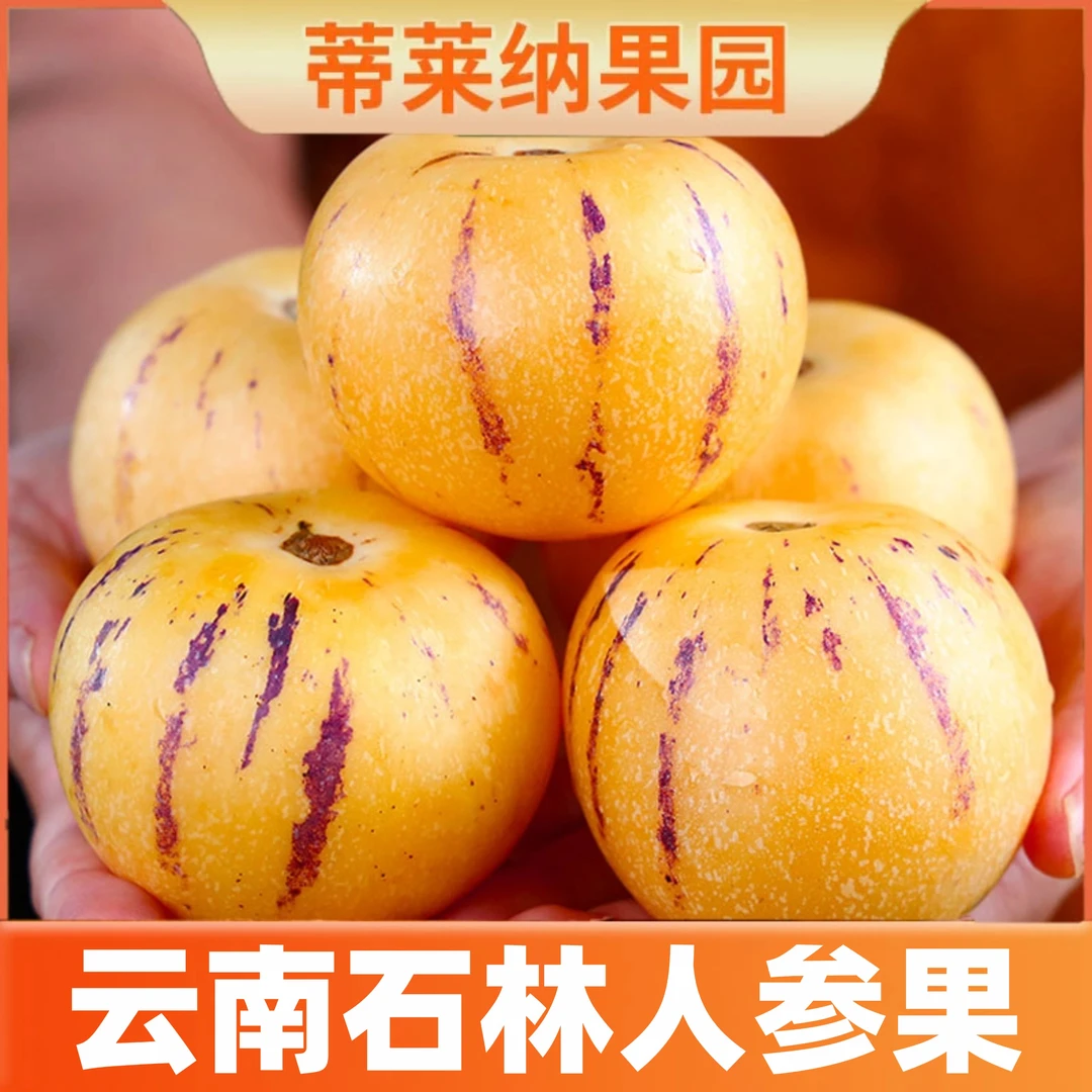 【娟姐专属】云南人参果树上熟人参果黄肉圆果1斤3斤5斤新鲜爆汁