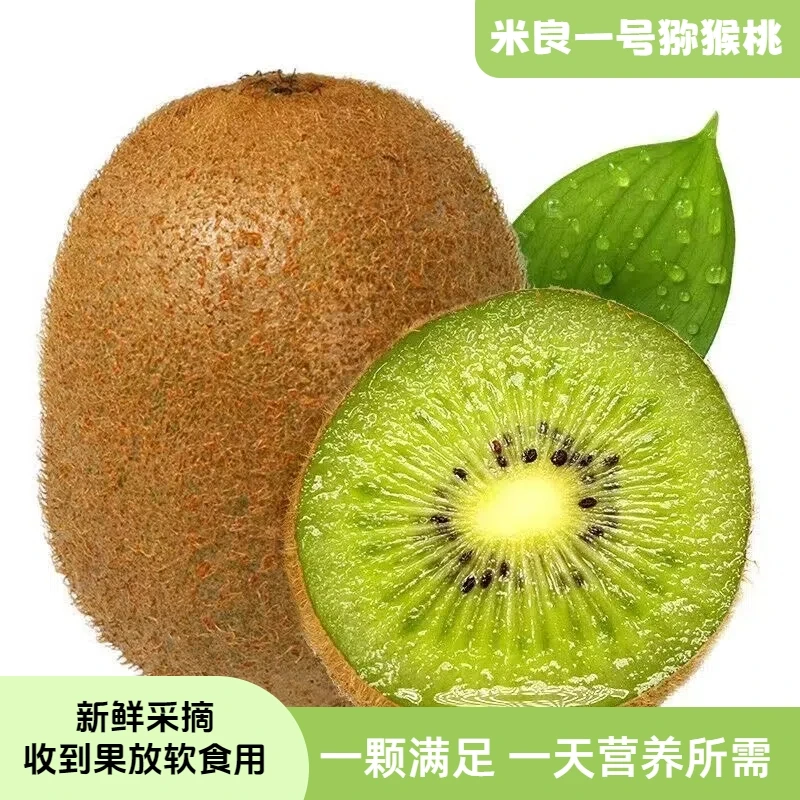 毕语鲜米良一号猕猴桃12个大果单果100g-150g新鲜猕猴桃绿心