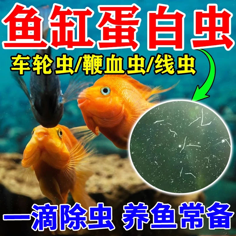 【养鱼常备】观赏鱼驱虫体外寄生虫净片蹭缸擦缸车轮虫线虫鞭血虫用