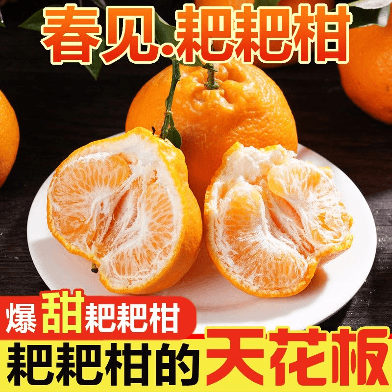 正宗四川春见耙耙柑 粑粑柑 香甜多汁 现货现发新鲜皮薄采摘品质