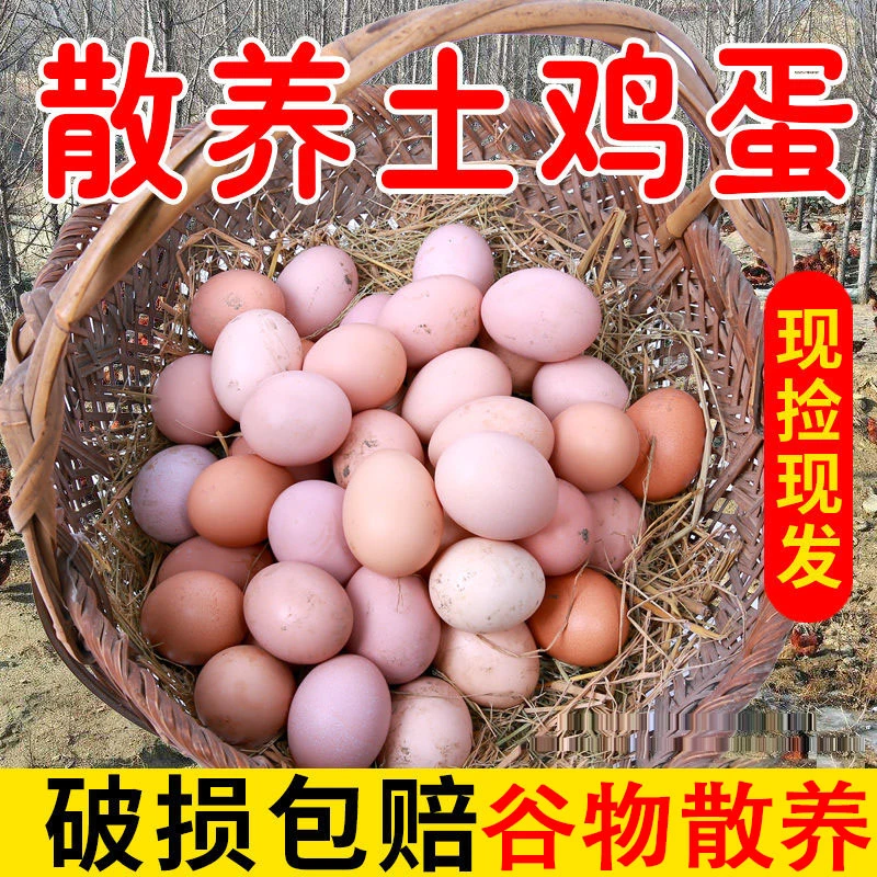 正宗谷物土鸡蛋现捡现发农家散养红心新鲜营养散养土鸡蛋
