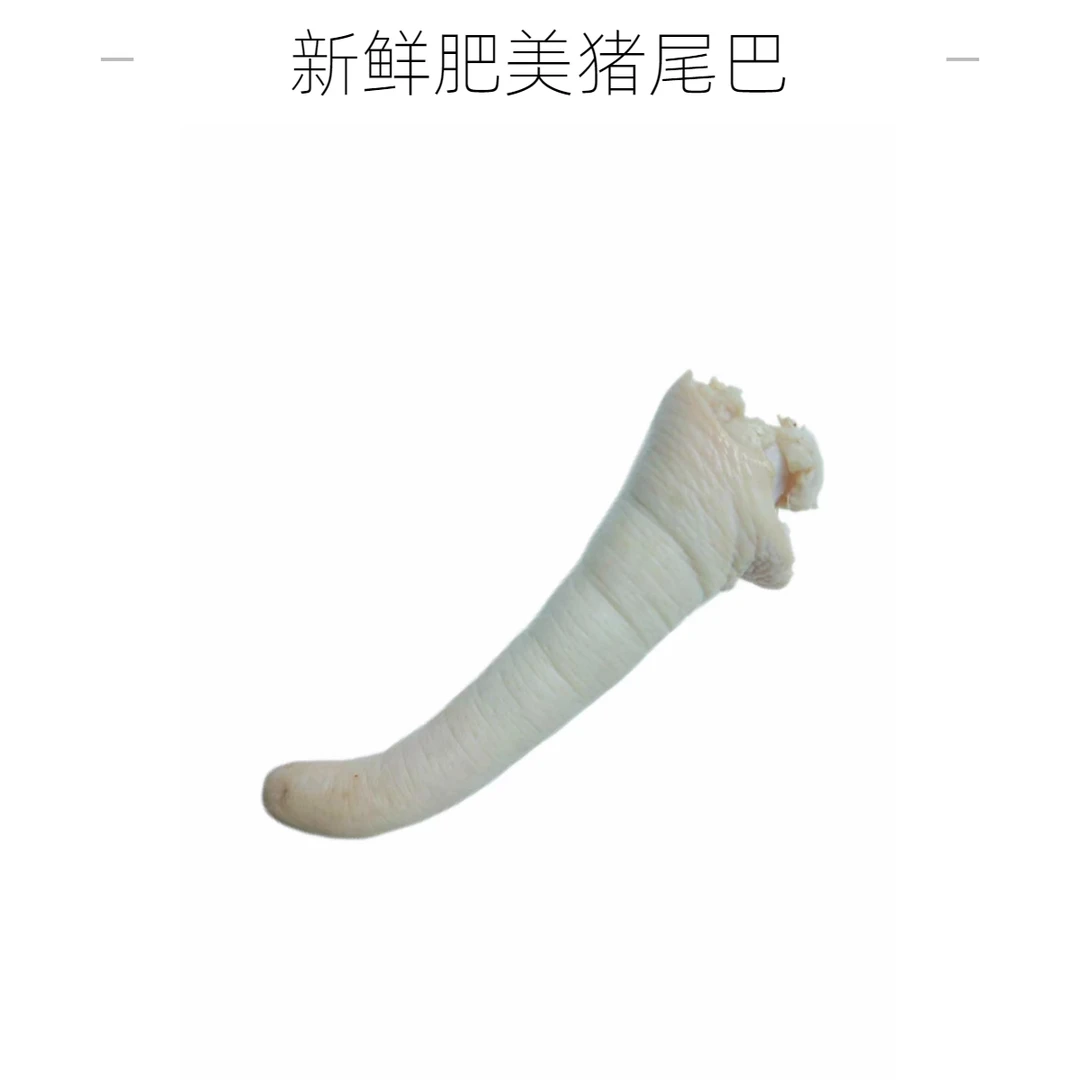 【肉联厂直销】新鲜猪尾巴好吃不贵干净卫生