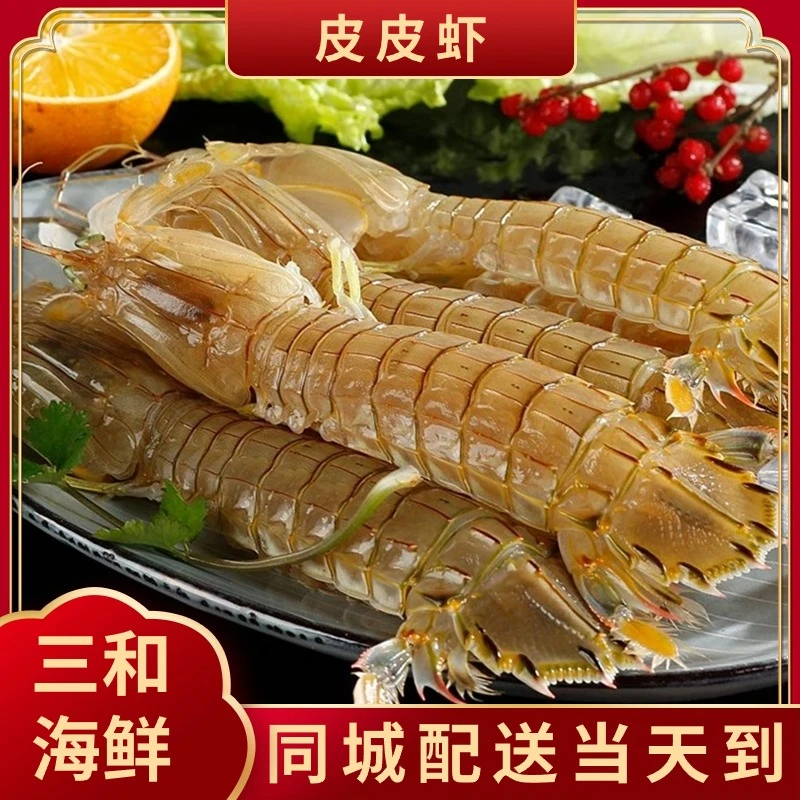 断氧皮皮虾【本地野生】 三和海鲜店