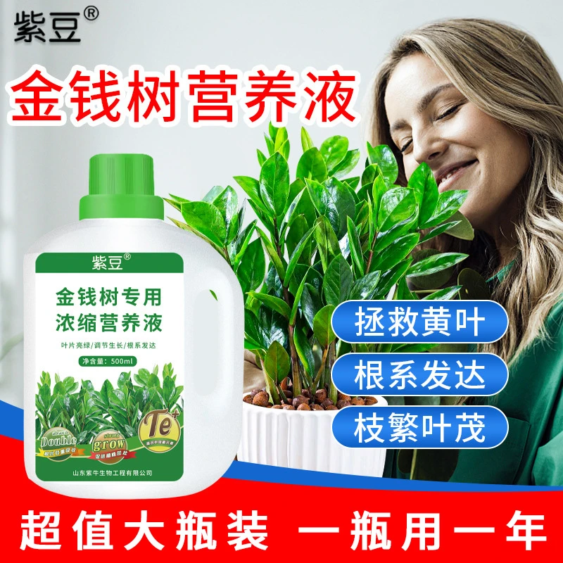 金钱树专用浓缩营养液植物通用肥料绿植生根活力素叶面有机肥