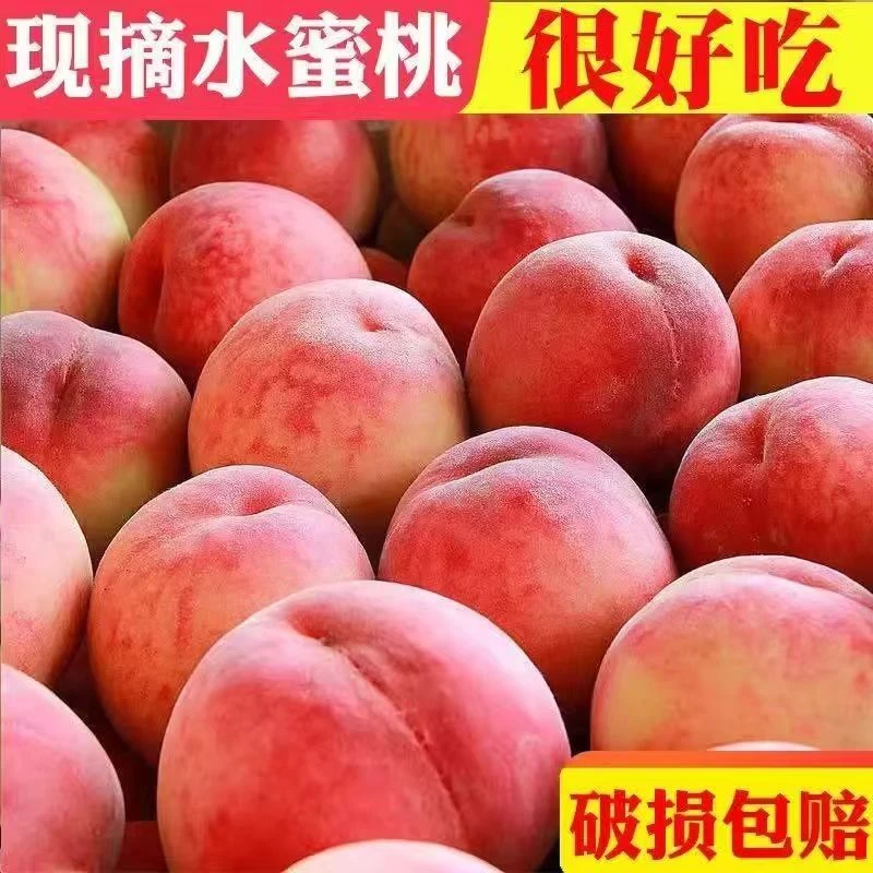【头茬脆蜜桃】山西运城脆甜蜜桃新鲜采摘孕妇水果3/4.5斤夏日尝鲜