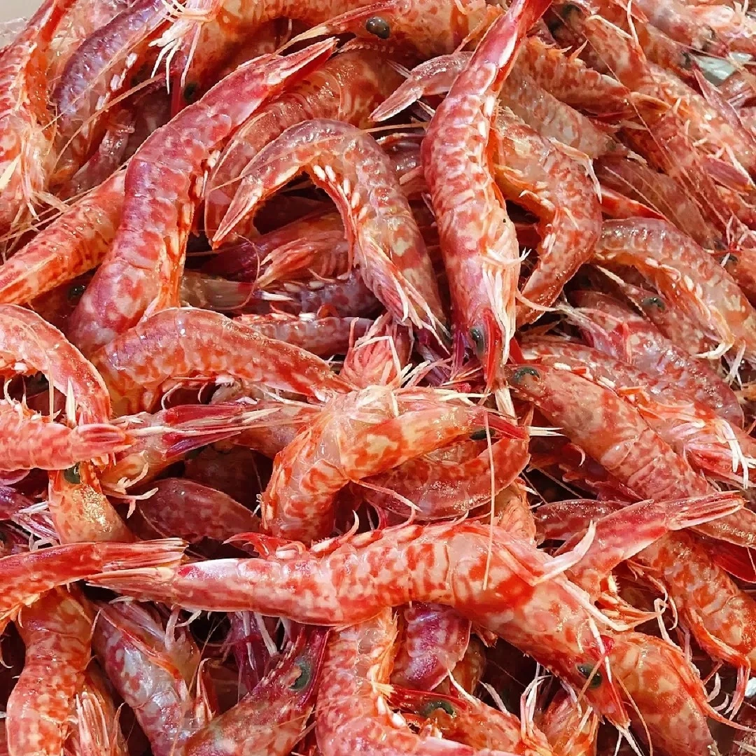 海捕野生樱花虾/须赤虾 天然海虾 广东汕尾码头活冻发货 生腌刺身