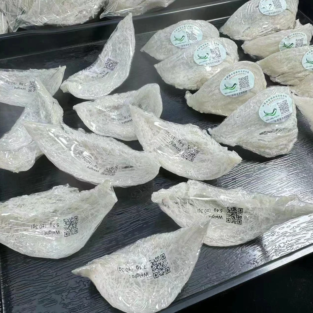 【干挑盏条】大盏条（雨季燕窝），厚肉囊丝分明，干净度好，泡发率高