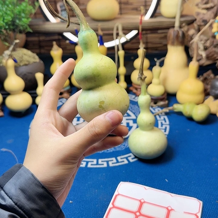 阎*在家了吗你不在了