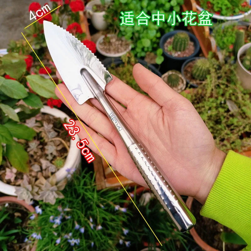 多肉小尖铲不锈钢一体成型加厚不生锈结实带锯齿松土挖土小花盆用