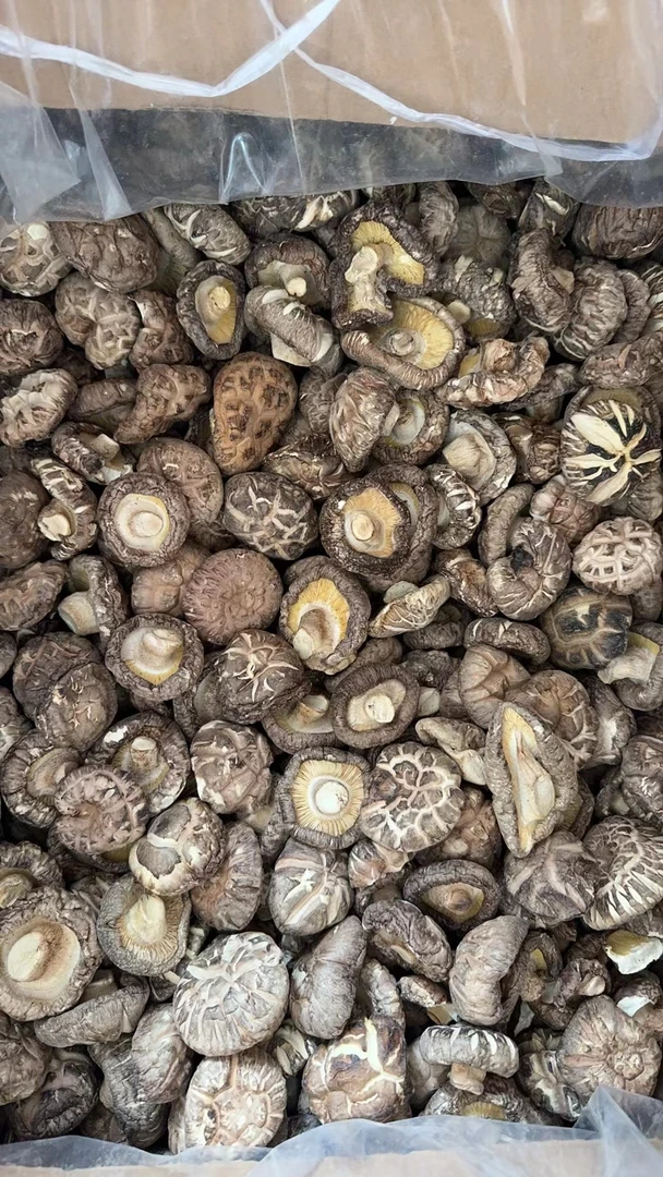 联坤 精选大花姑500g