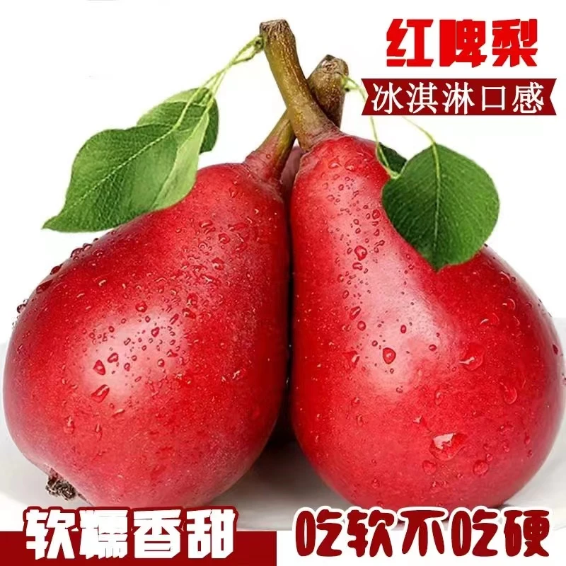 【坏果包赔】红啤梨（放软后再吃）香甜软糯多汁现摘产地直发5斤装