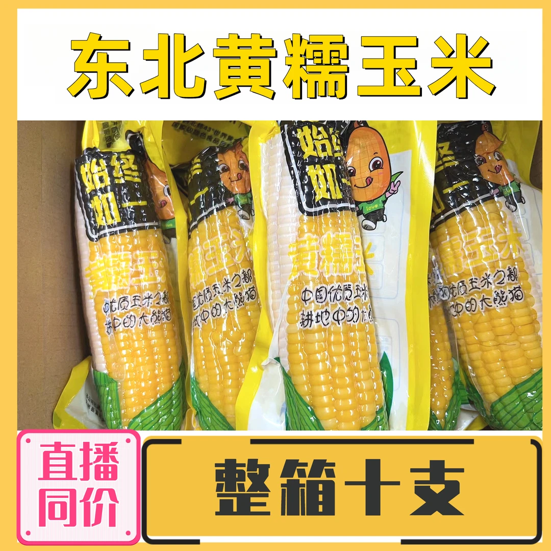 东北粘糯玉米10棒东北黄糯玉米棒东北黏糯玉米非转基因黏苞米