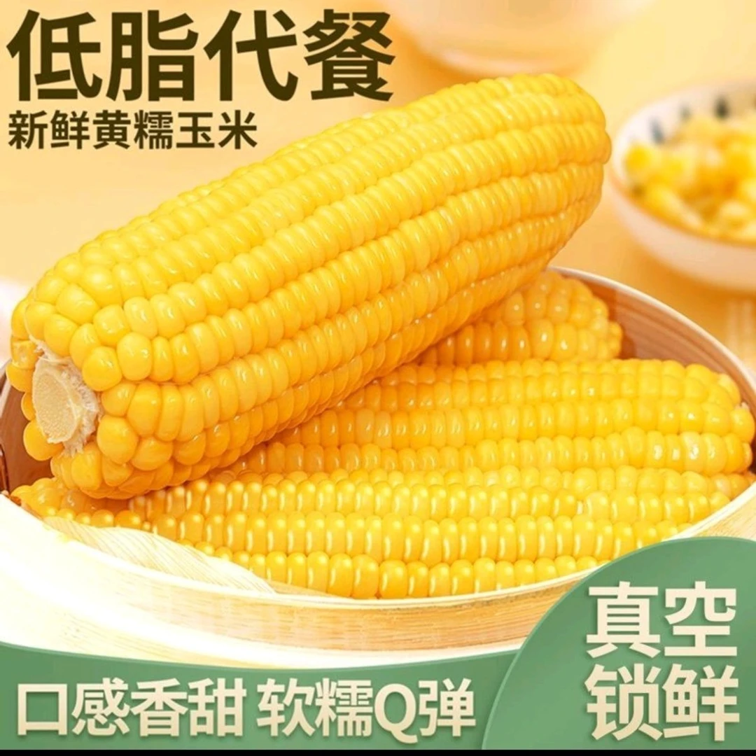 东北粘糯玉米10棒当季东北糯玉米新鲜黄糯即食甜糯玉米无添加