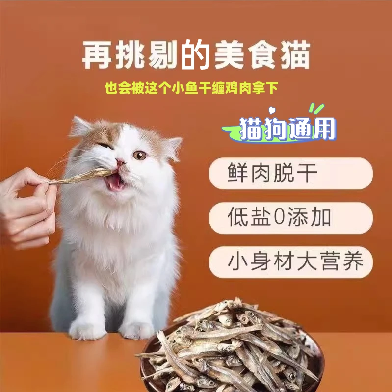 猫咪营养低盐亮毛均衡爱吃体质成长低油添加小鱼干缠鸡肉