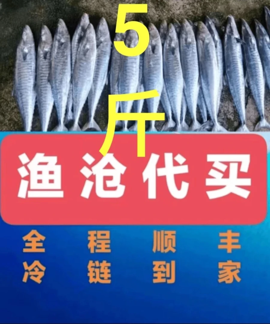 渔沧源头海鲜代买3斤，5斤装，有帮杀的一斤杀好就剩400克！