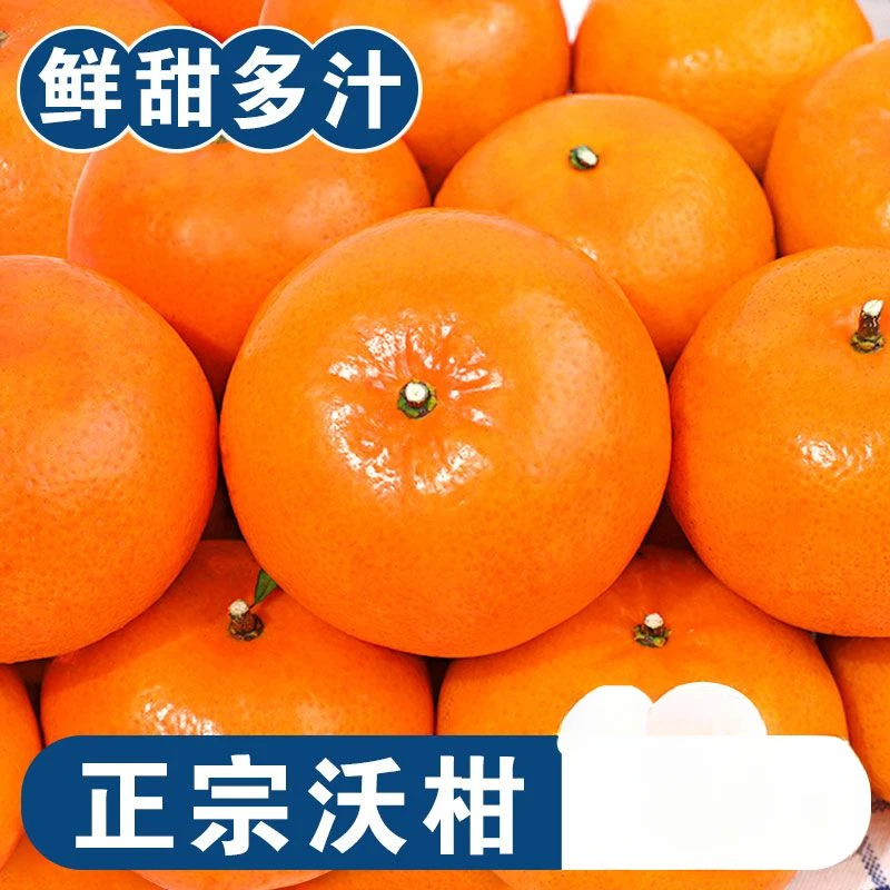 【新店半价】正宗广西沃柑新鲜现摘武鸣水果薄皮桔子1/3/5斤包邮