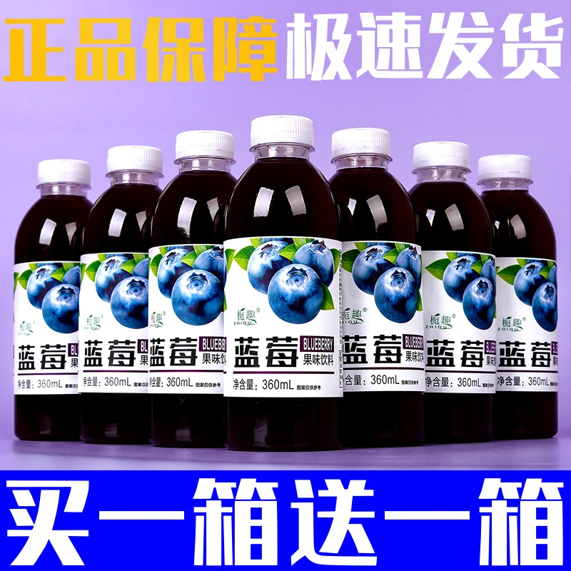 【买一箱送一箱】蓝莓汁养眼蓝莓果味饮料水一整箱鲜果肉滋补品特价