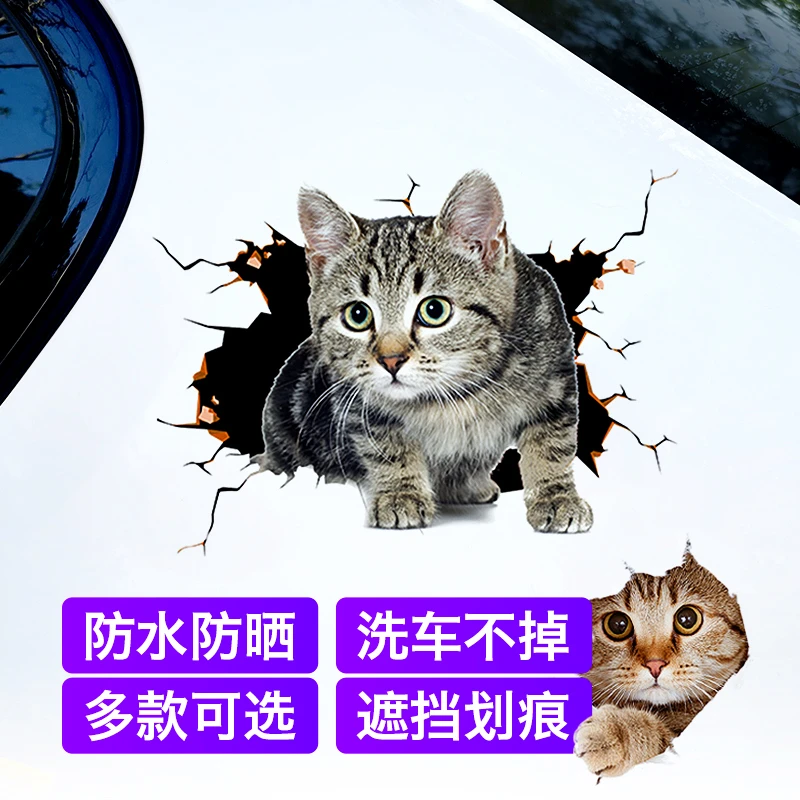 汽车电动车贴纸摩托车猫咪遮挡划痕遮盖引擎盖保险杠车门车尾防水