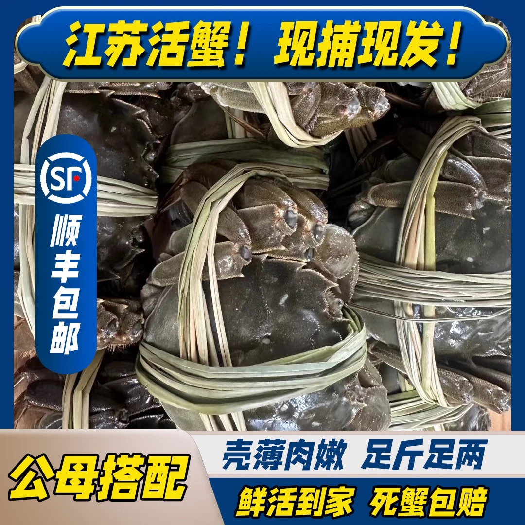 【江苏活蟹】兴化大闸蟹纯母大母蟹3.8-4.1两母8/10只包邮精品挑