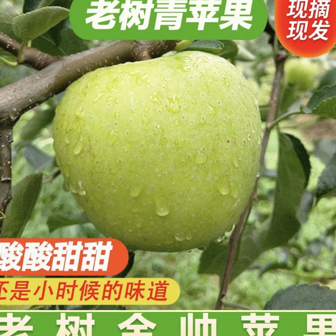 老树金帅苹果5斤顺丰京东发货山东省内包邮