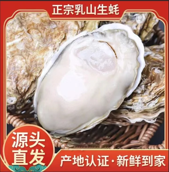 【直播福利】精品乳山生蚝1斤装一只2两