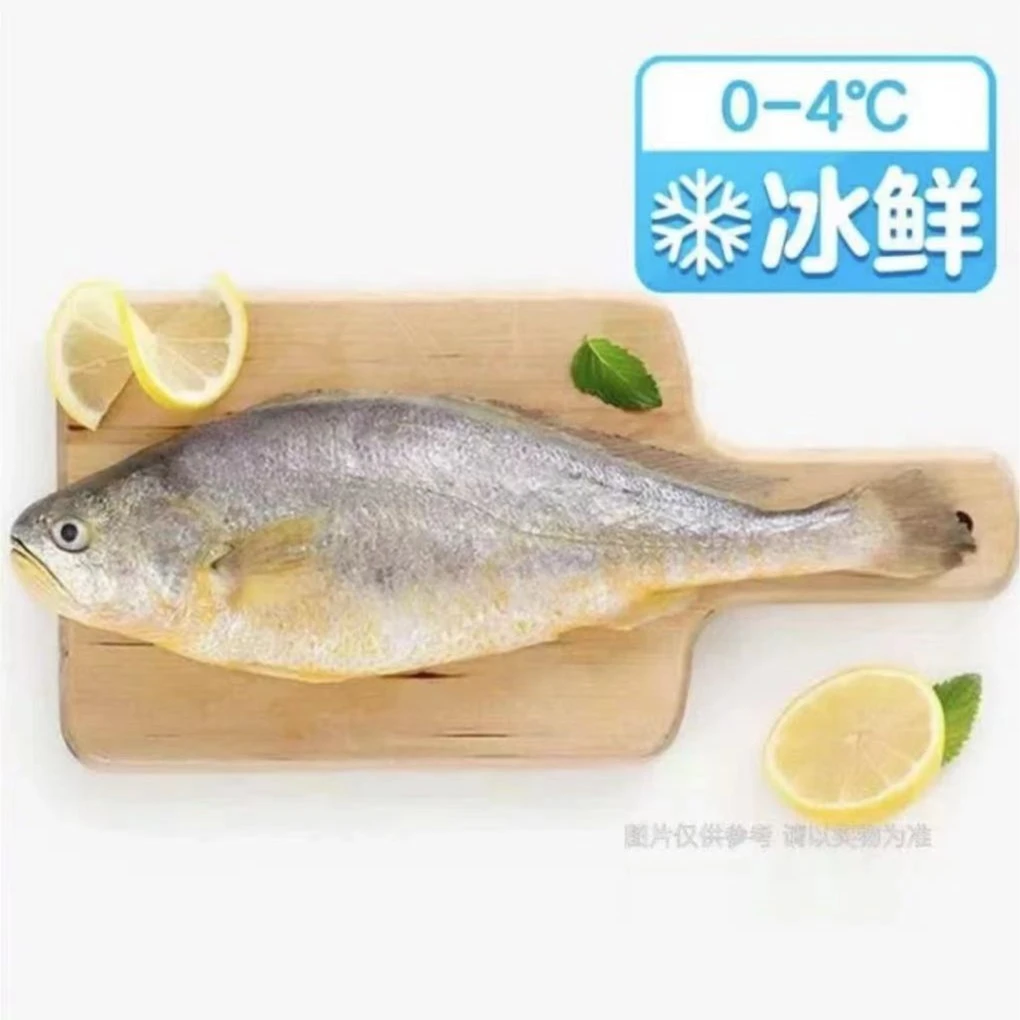 【冰鲜小黄鱼】4-6两左右一条