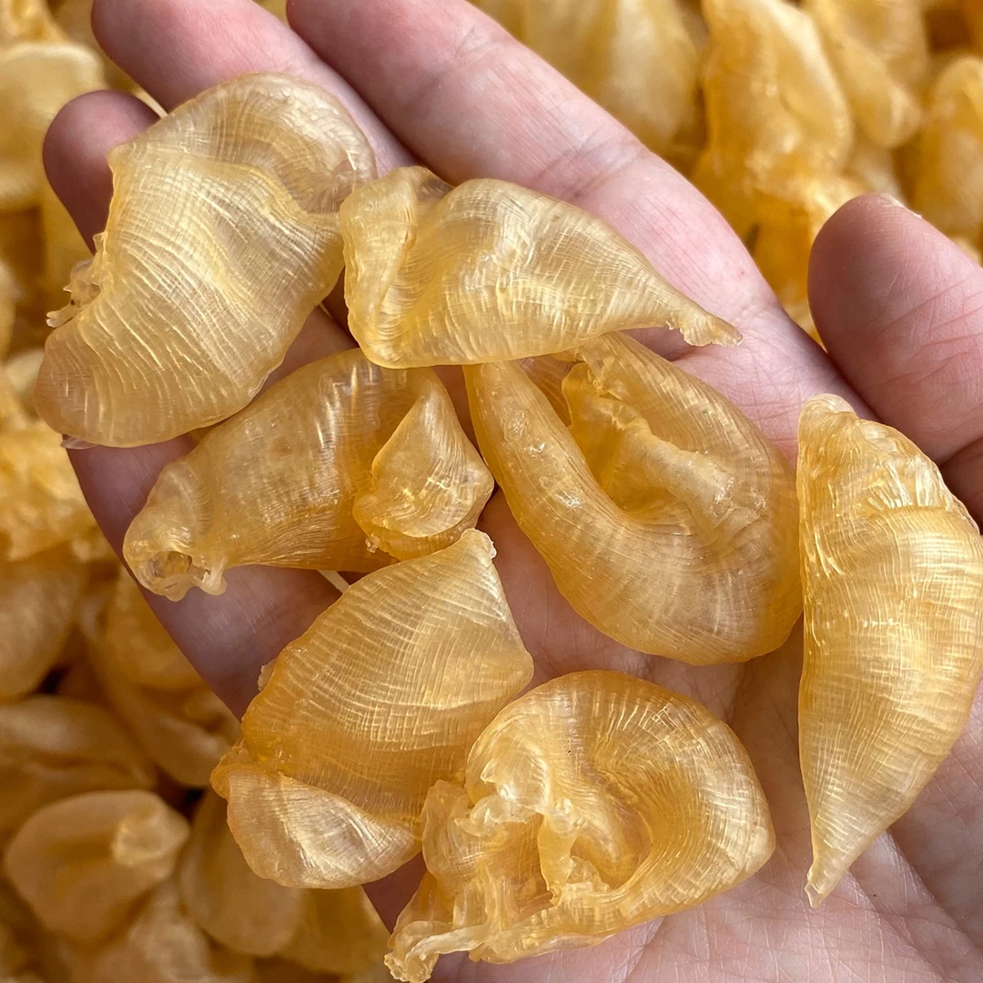 小头数珍珠胶鱼胶花胶炖鸡汤奶冻甜品营养捡漏