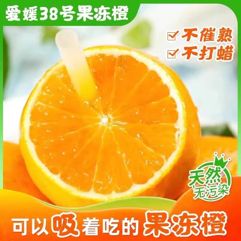新鲜爱媛果冻橙新鲜包邮发货现摘现发皮薄汁水多