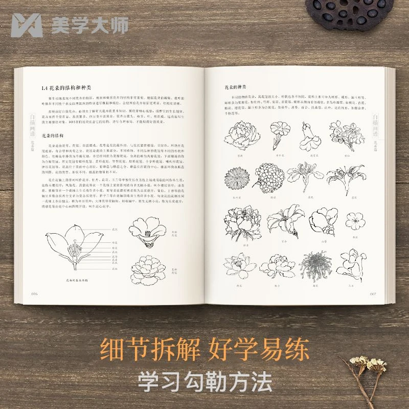 白描画谱花卉篇中国历代线描梅兰竹菊荷花牡丹工笔画稿白描描摹本