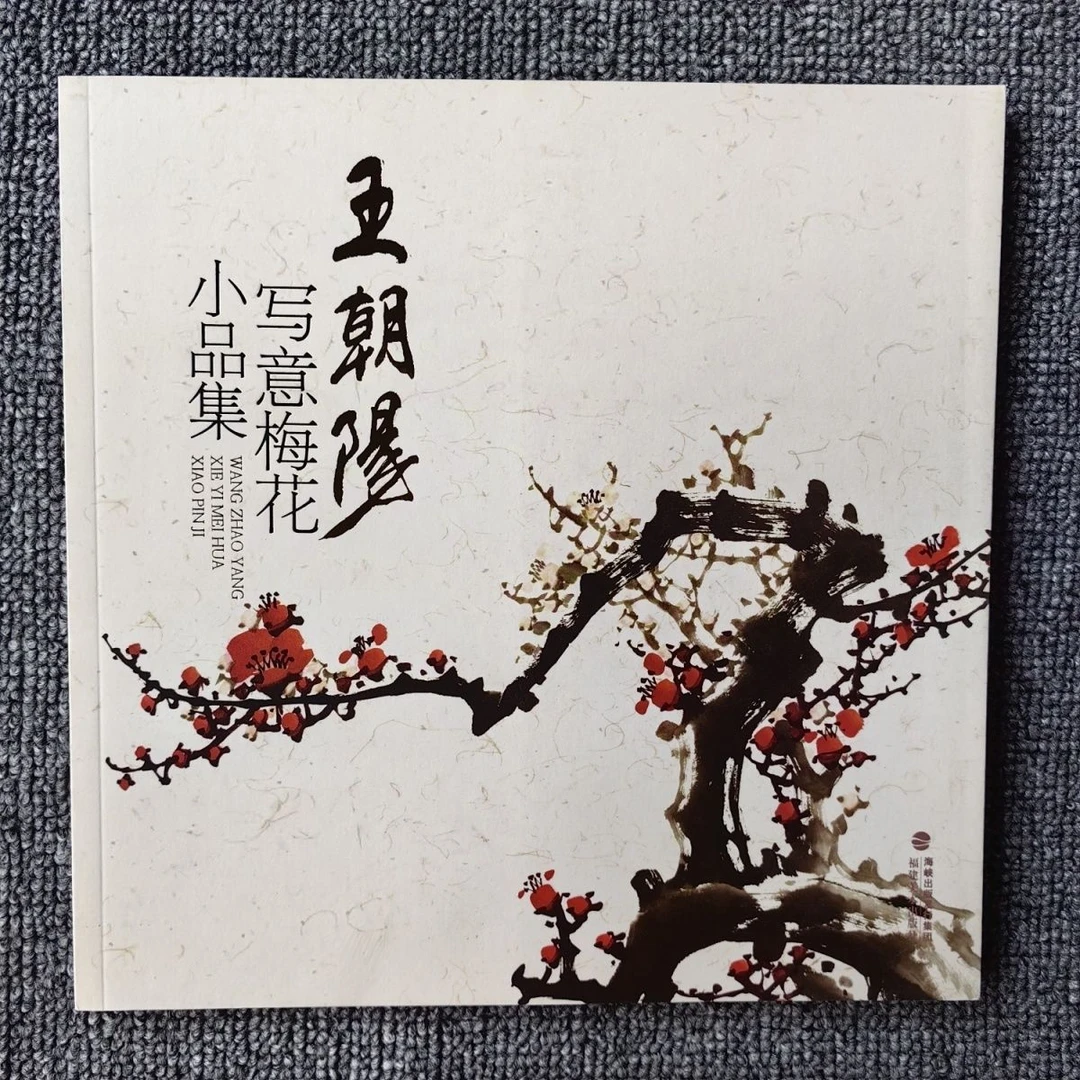 王朝阳写意梅花小品集国画小写意梅花临摹名家画集