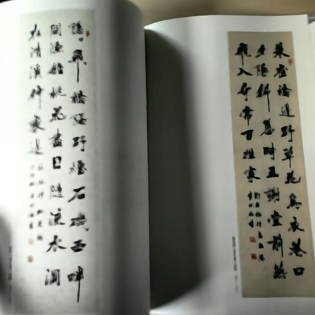 毛笔书法字帖临摹欣赏作品集李明论书法集
