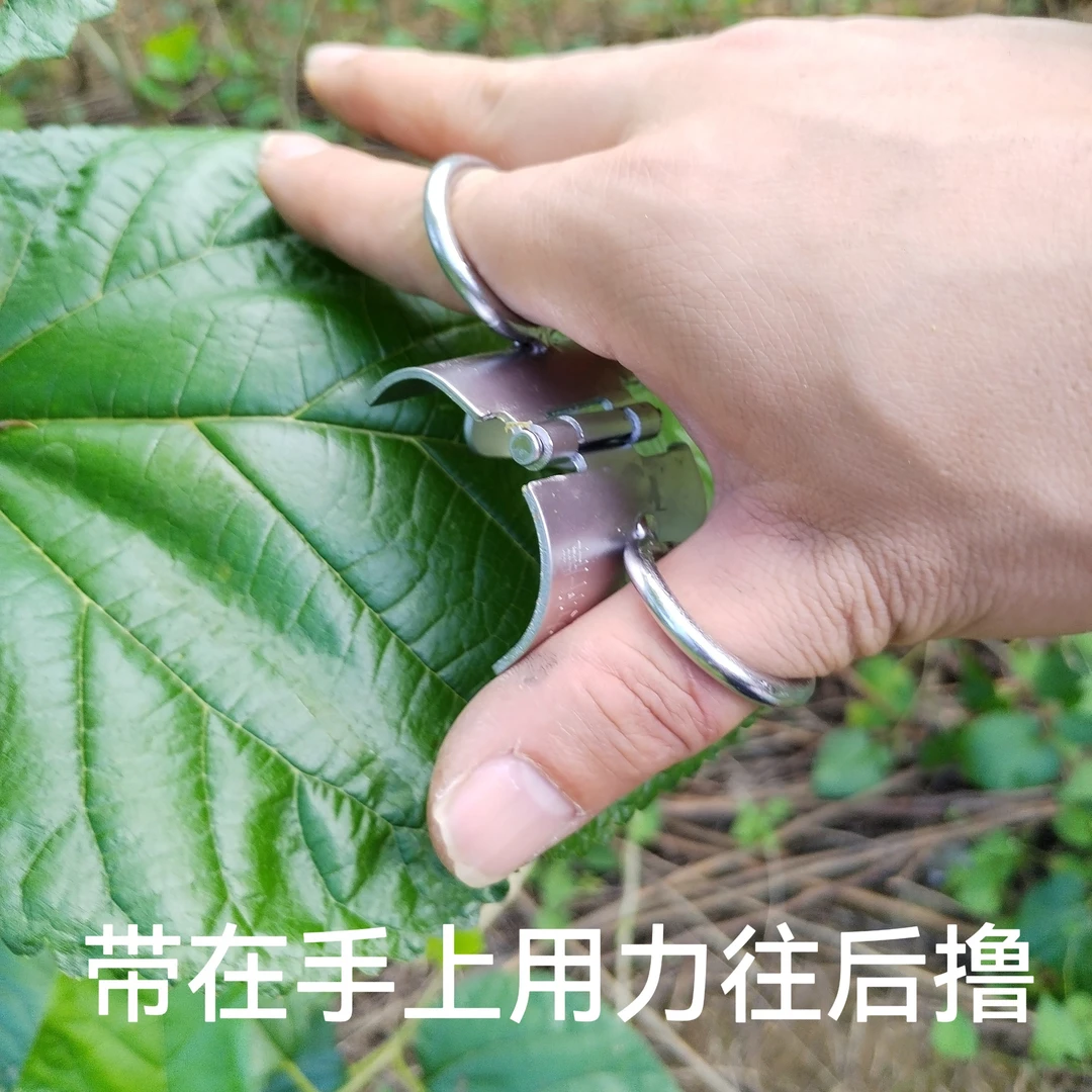 刮桑叶器摘桑叶器木方格簇清理器蚕簇除丝机蚕药蚕种蚕茧桑苗蚕具