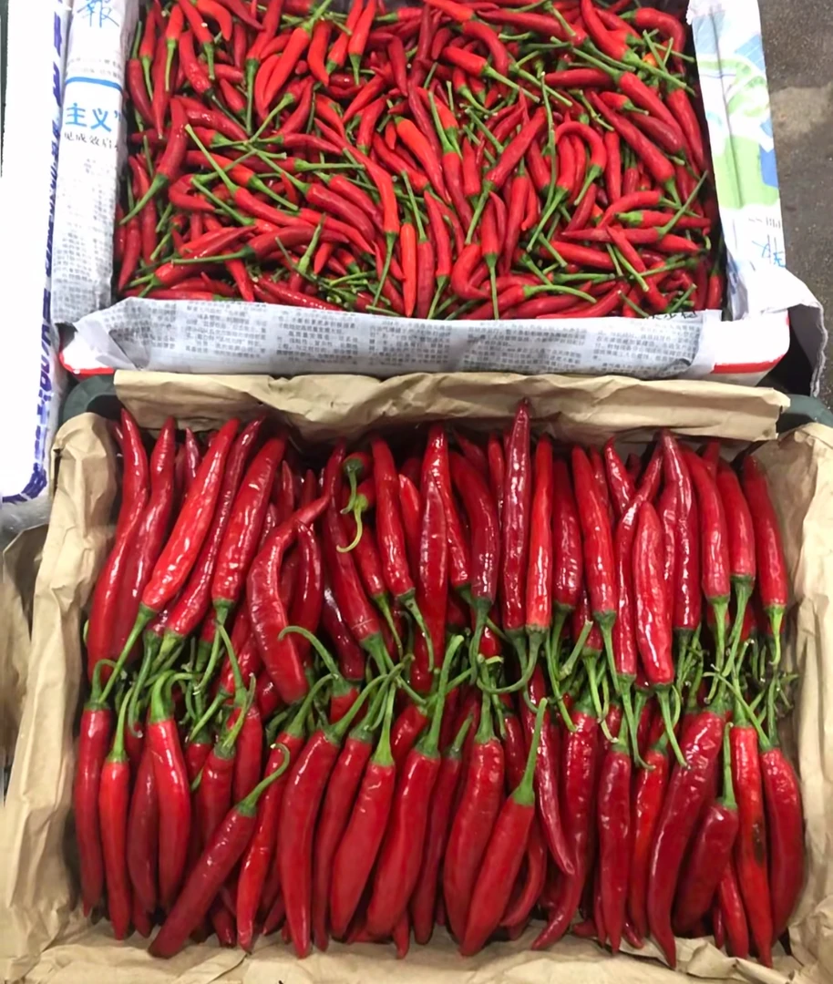 【必备调味】小米辣/包|市场代购