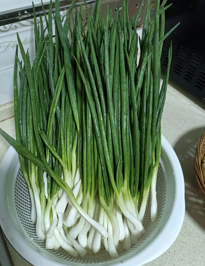 【必备调味】葱花1把|市场代购