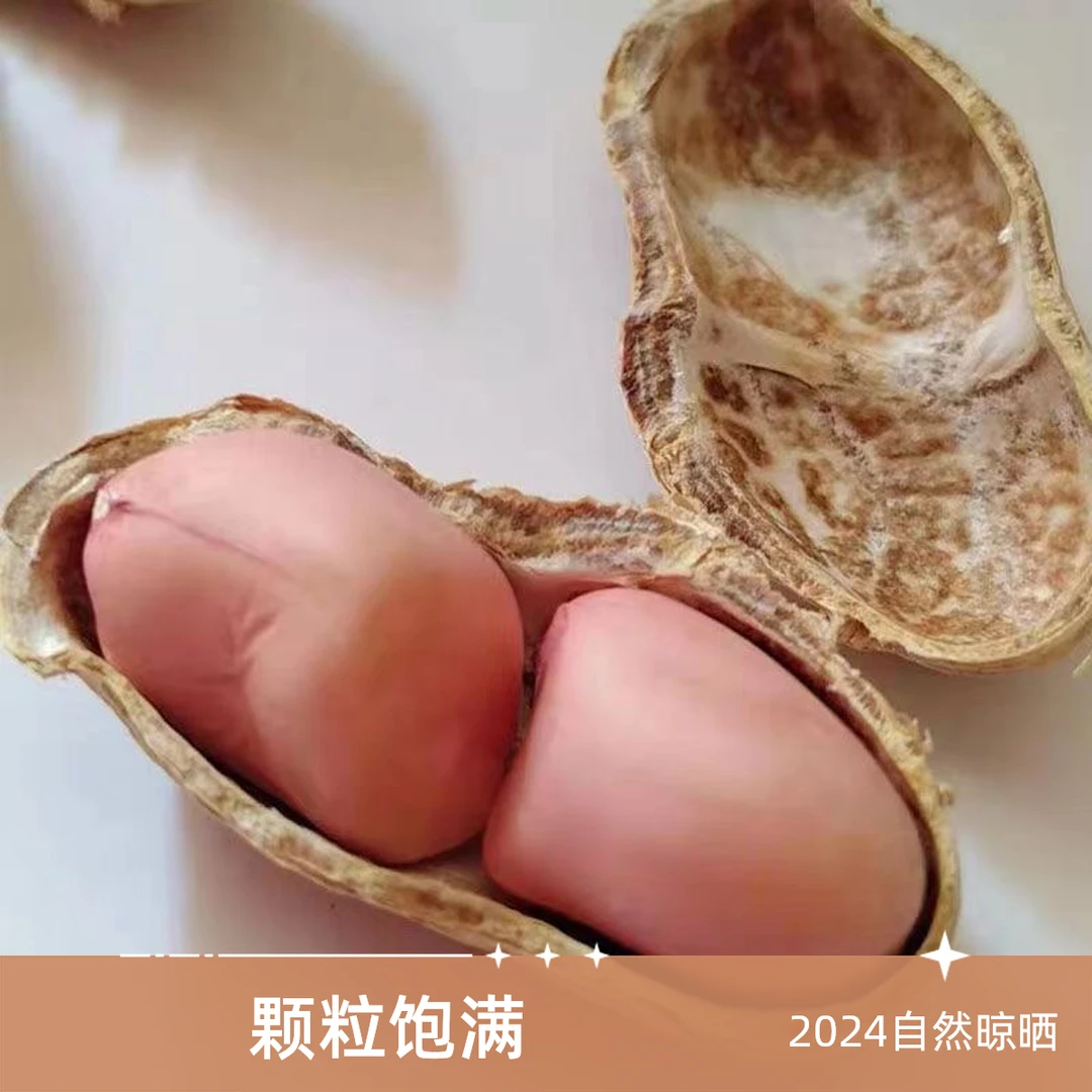 (干花生)2024河南晒干带壳沙地花生5斤装精品