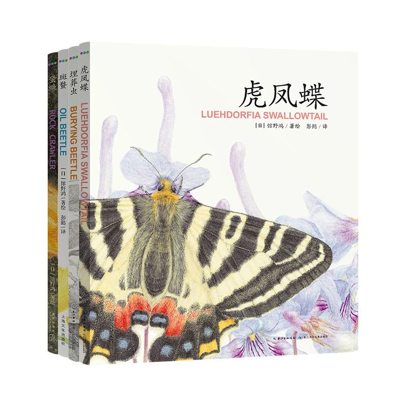 馆野鸿科学绘本全套4册 精装 蛩蠊斑蝥虎凤蝶埋葬虫昆虫书籍科普