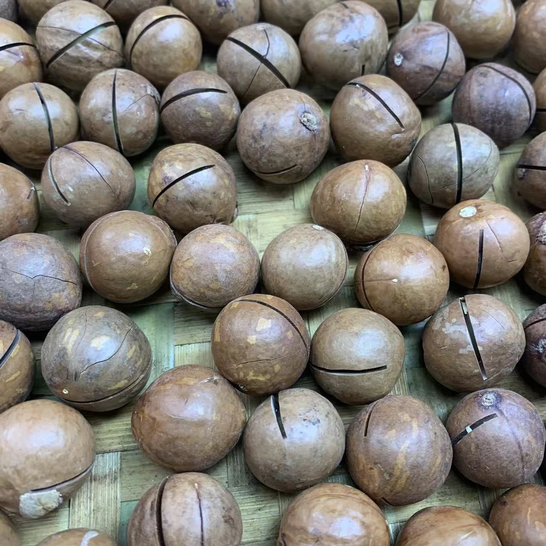 1【夏-威-夷-果】净含量：500g-2000g【阿忠现收现卖】