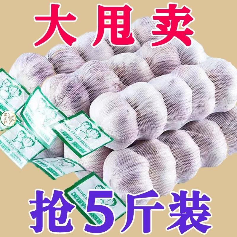 【颗颗精选】2024正宗山东紫皮大蒜大蒜头干蒜蒜头大蒜头新鲜包邮