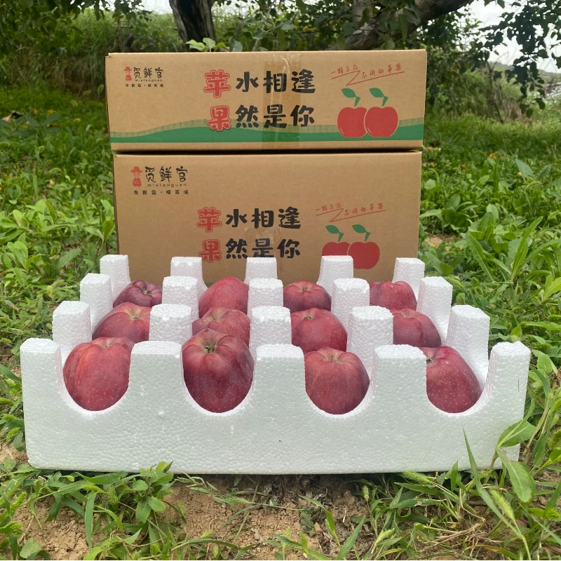 甘肃天水花牛苹果高山新鲜水果脆甜多汁净重5斤